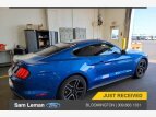 Thumbnail Photo 47 for 2019 Ford Mustang